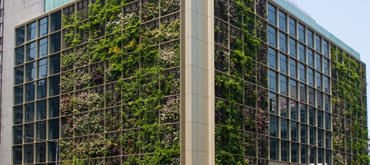 SIEMENS в Краснодаре